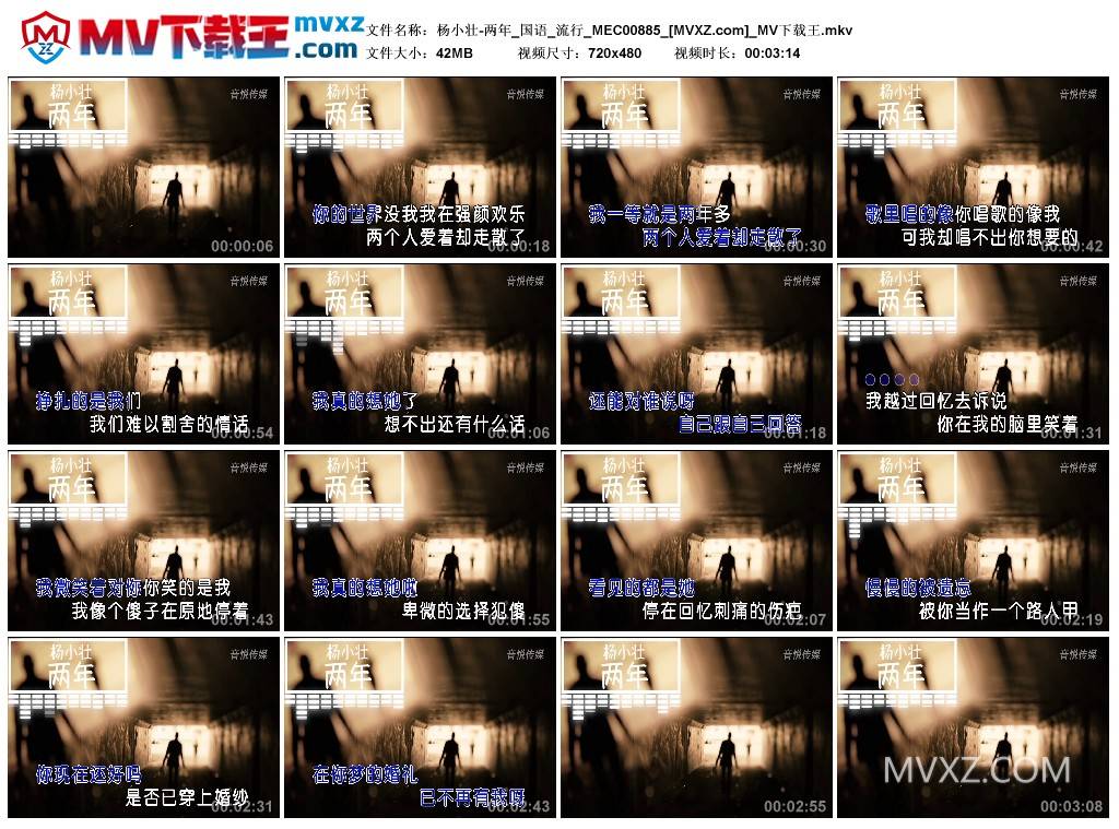 杨小壮-两年_国语_流行_MEC00885